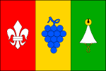 List tvoří tři svislé pruhy_ červený s bílou lilií, žlutý s modrým vinným hroznem a zelený s bílým špičatým kloboukem se žlutou rolničkou na vrcholu a žlutou zatočenou podbradní šňůrou. Poměr šířky k délce listu je 2_3. Vlajka Němčičky