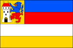 List tvoří čtyři vodorovné pruhy_ modrý, červený, bílý a žlutý, v horním žerďovém rohu je žluté karé s figurou z městského znaku, s modro-červeně děleným lvem opírajícím se třemi tlapami o bílou věž s červenou střechou. Poměr šířky k délce listu je 2_3. Vlajka Pacov