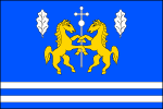 List tvoří pět vodorovných pruhů, střídavě modrých a bílých, v poměru 12_1_1_1_1. V horním pruhu dva k sobě obrácení vzpřímení žlutí koně s propletenýma předníma nohama podloženýma bílým procesním lateránským křížem, provázení za hlavami bílým vztyčeným dubovým listem. Poměr šířky k délce listu je 2_3. Vlajka Rychnovek