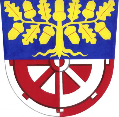 Dělený štít, nahoře v modrém poli zlatý vykořeněný dub, dole ve stříbrno-červeně polceném poli vyniká dolní polovina palečného kola opačných barev. Znak Bílá Lhota