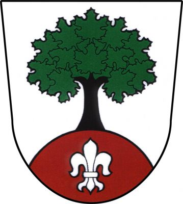 Ve stříbrném štítě vyrůstá z červeného návrší se stříbrnou lilií zelený javor s černým kmenem. Znak Bordovice