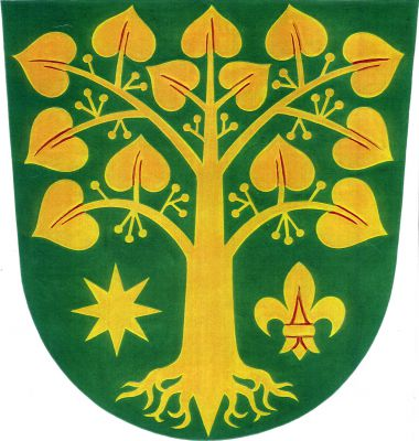 V zeleném štítě vykořeněná lípa, provázená podél kmene vpravo osmihrotou hvězdou a vlevo lilií, vše zlaté. Znak Bořenovice