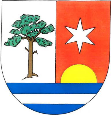 Stříbrno-červeně polcený štít s modrou patou. Vpravo vykořeněná borovice přirozené barvy, vlevo vyrůstající zlatý kotouč převýšený stříbrnou hvězdou, v patě stříbrné břevno. Znak Borová