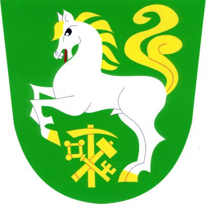V zeleném štítě stříbrný kůň se zlatou zbrojí, hřívou a ocasem a červeným jazykem, vzpínající se nad vztyčeným doleva obráceným kopáčem, šikmo přeloženým mlátkem a kosmo postaveným gotickým klíčem, vše zlaté. Znak Borušov