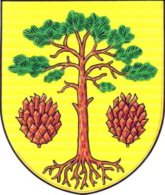Ve zlatém štítě vykořeněná borovice provázená po obou stranách šiškou, vše přirozených barev. Znak Bory