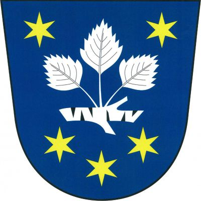 V modrém štítě položená osekaná březová větev přirozené barvy s vyrůstajícím stříbrným trojlistem. Větev nahoře provázena dvěma a dole třemi (2, 1) zlatými hvězdami. Znak Březejc