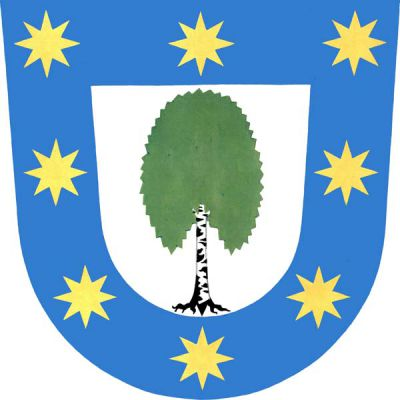 Ve stříbrném štítě s modrým lemem posázeným osmi zlatými osmihrotými hvězdami vykořeněná bříza přirozené barvy. Znak Březová