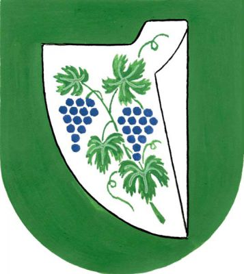 V zeleném štítě stříbrná radlice, v ní zelená révová ratolest se čtyřmi listy a dvěma modrými hrozny. Znak Brumovice