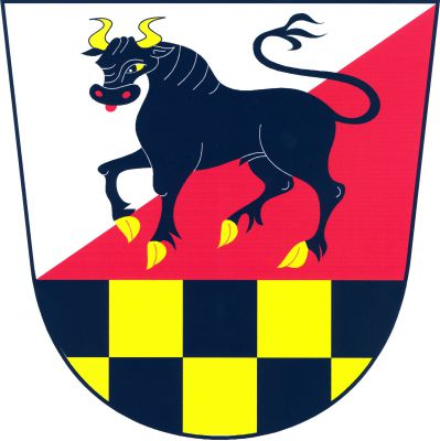 Sníženě dělený štít, v horním stříbrno-červeně šikmo děleném poli černý kráčející býk se zlatou zbrojí a červeným jazykem, dolní pole černo-zlatě dvěma řadami šachované. Znak Bylany