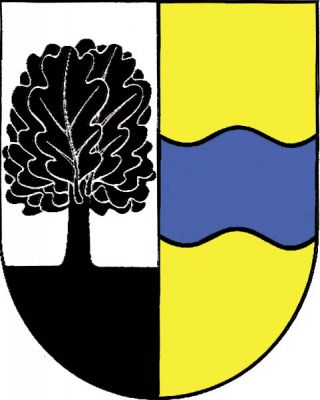 Ve stříbrno-zlatě polceném štítě vpravo černý dub vyrůstající z černé paty štítu a vlevo modré vlnité břevno. Znak Černá u Bohdanče