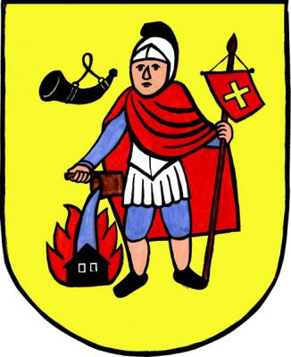 Ve zlatém štítě sv. Florián v červeném plášti držící v levé ruce červenou korouhev se zlatým řeckým křížem, provázený vpravo nahoře černou loveckou trubkou se závěsem. Znak Černíkovice