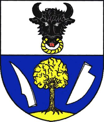 Stříbrno-modře dělený štít. Nahoře černá zubří hlava s červeným jazykem a zlatou houžví. Dole ze zlatého trávníku vyrůstá zlatý listnatý strom, provázený vpravo kosmo vztyčeným krojidlem a vlevo šikmo postavenou radlicí obojí stříbrné. Znak Černovice