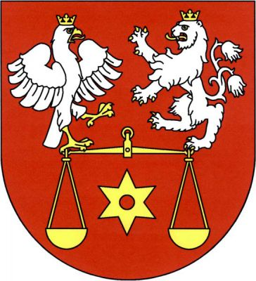 V červeném štítě doleva obrácená vzpřímená přirozená orlice a dvouocasý lev, obojí přivrácené stříbrné, korunované a se zlatou zbrojí, stojící na miskových vahách, mezi miskami ostruhové kolečko, vše zlaté. Znak Červené Janovice