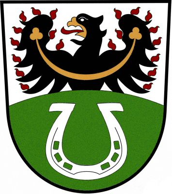 Ve stříbrném štítě černá plamenná orlice se zlatou zbrojí, jetelovitě zakončeným perizoniem a s červeným jazykem, vyrůstající ze zvýšeného zeleného návrší s obrácenou stříbrnou podkovou. Znak Chotýčany