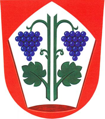 V červeném štítě stříbrná mitra a na ní dva zelené stonky vinné révy, každý s jedním listem a jedním modrým hroznem. Znak Chuchelná