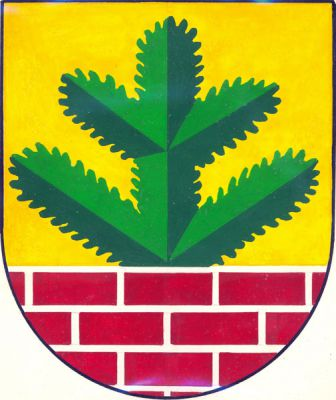 Ve zlatém štítě vyrůstá z červené, stříbrně spárované cihlové zdi zelená jedlová větévka. Znak Chvojenec