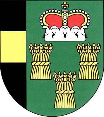 Vpravo černo-zeleně polcený štít, vpravo zlaté břevno, vlevo tři (2, 1) zlaté obilné snopy převýšené knížecí korunou. Znak Číčenice