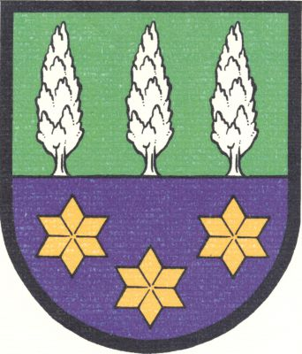 V zeleno-modře děleném štítě nahoře vyrůstají tři stříbrné topoly, dole tři (2, 1) zlaté hvězdy. Znak Čilec