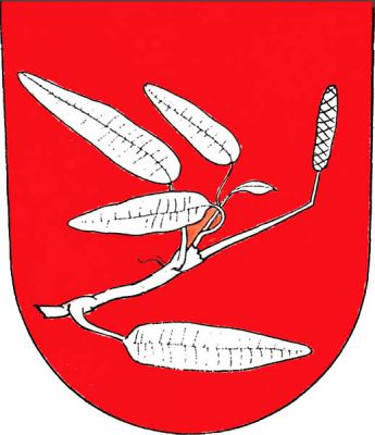 V červeném štítě stříbrná snítka rdesna s jedním klasem a čtyřmi listy. Znak Desná