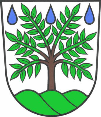 Ve stříbrném štítě ze zeleného trojvrší vyrůstá jasan přirozené barvy, nad ním tři modré dešťové kapky. Znak Deštné v Orlických horách