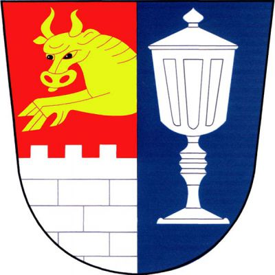 V červeno-modře polceném štítě vpravo nad stříbrnou kvádrovanou hradbou s cimbuřím z poltící linie vyskakující zlatý býk, vlevo stříbrné ciborium. Znak Dobronín