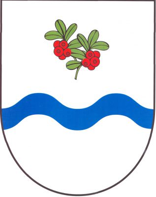 Ve stříbrném štítě nad sníženým modrým vlnitým břevnem dvě vztyčené větévky brusinek s plody přirozené barvy. Znak Dolní Brusnice