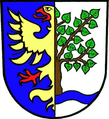 Modro-stříbrně polcený štít. Vpravo vyniká půl zlaté orlice s červenou zbrojí, vlevo z modrého vlnitého břevna půl listnatého stromu přirozené barvy. Znak Dolní Lomná