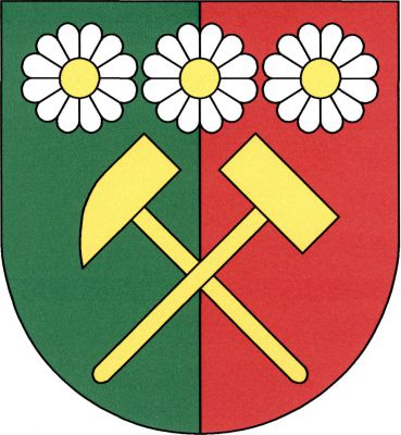 V zeleno - červeně polceném štítě vedle sebe tři stříbrné květy se zlatými středy nad zlatými hornickými kladívky. Znak Dolní Rychnov