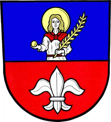 Modro-červeně dělený štít. Nahoře vyrůstá postava sv. Štěpána v červeno-stříbrném šatě, se zlatými vlasy a svatozáří, držící v pravici kámen a v levici palmovou ratolest, obojí zlaté. Dole stříbrná lilie. Znak Domašov u Šternberka