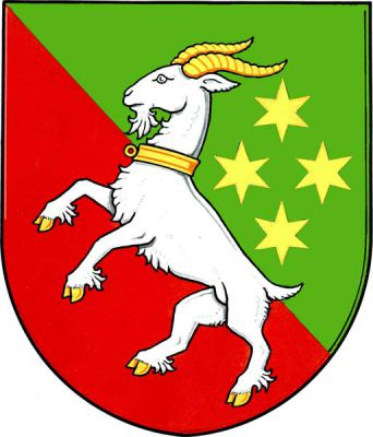 V zeleno-červeně kosmo děleném štítě stříbrný kozel ve skoku se zlatou zbrojí a zlatým obojkem s kroužkem, provázený vlevo čtyřmi (1,2,1) zlatými šestihrotými hvězdami. Znak Drahanovice