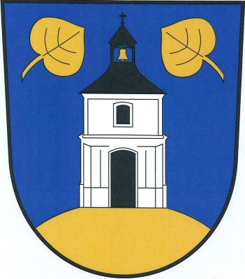 V modrém štítě na zlatém návrší stříbrná kaple s oknem v patře a dveřmi v přízemí, obojí černé, s černou stanovou střechou s lucernou se zavěšeným zlatým zvonem, zakončenou makovicí s křížkem. Věž nahoře provázena dvěma vztyčenými přivrácenými zlatými lipovými listy. Znak Drahňovice