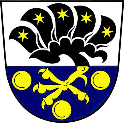 Ve stříbrno-modře děleném štítě zlatý černě okřídlený spár s pěti pery, v každém zlatá hvězda, provázený dole třemi (2,1) zlatými kotouči. Znak Dražíč