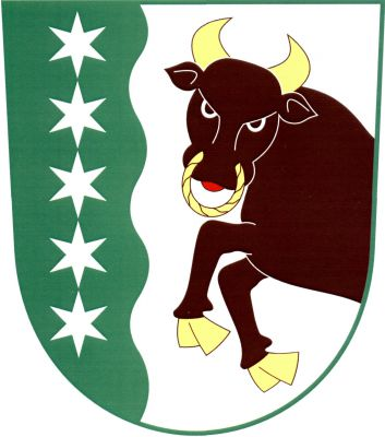 Ve stříbrném štítě pravý zelený vlnitý bok s pěti stříbrnými hvězdami pod sebou. Z levého okraje štítu vyskakuje hnědý zubr se zlatou zbrojí, houžví v nozdrách a s červeným jazykem. Znak Dřenice