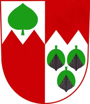 V červeno - stříbrně polceném štítě pod pilovitou hlavou opačných barev, vpravo se vztyčeným zeleným lipovým listem, vlevo tři (2, 1) svěšené puklé ořechy přirozené barvy. Znak Dřešín