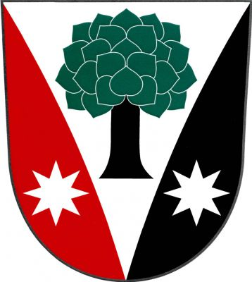 Ve stříbrném vydutém klínu červeno - černě polceného štítu zelená lípa s černým kmenem, klín provázen dvěma stříbrnými osmihrotými hvězdami. Znak Dřevěnice
