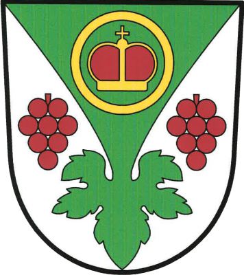 Ve stříbrném štítě zelený vydutý klín zakončený vinným listem, provázený po stranách červeným vinným hroznem. V klínu nahoře knížecí čepice ve zlatém kruhu. Znak Dřísy