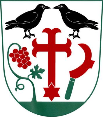 Ve stříbrném štítě červený latinský kotvicový kříž zakončený dole hvězdou postavenou spodním hrotem na zelené patě a provázený nahoře dvěma přivrácenými černými havrany. Vpravo na vyrůstajícím zeleném prohnutém stonku s listem a úponkem červený vinný hrozen, svěšený do leva, vlevo šikmo postavený červený vinařský nůž - kosíř se zelenou rukojetí. Znak Havraníky