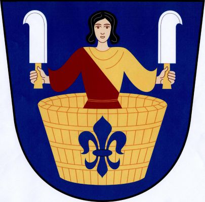 V modrém štítě ze zlaté kádě s modrou lilií vyrůstající muž v červeno-zlatě kosmo děleném šatě, držící v rozpažených rukou odvrácené stříbrné vinařské nože se zlatými rukojeťmi. Znak Hlinsko
