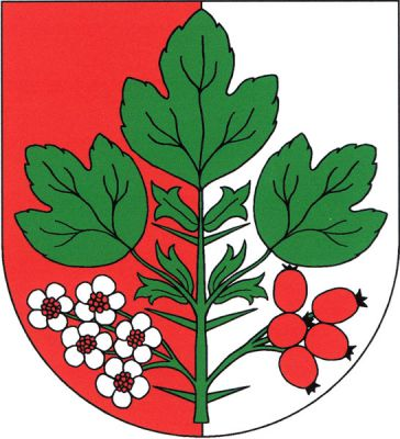 V červeno-stříbrně polceném štítě vztyčená větev hlohu se třemi zelenými listy a pod nimi na stoncích vpravo pět stříbrných pětilistých květů s červenými středy a vlevo pět červených hložinek. Znak Hlohovčice