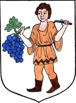 Ve stříbrném štítě hoch ve hnědé přepásané tunice držící v pravici modrý vinný hrozen s jedním zeleným listem, v levici vinařský nůž přirozené barvy. Znak Hluk