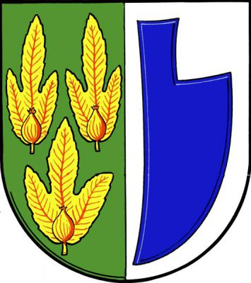 V zeleno-stříbrně polceném štítě vpravo tři (2,1) zlaté habrové plody, vlevo modrá radlice. Znak Hrabová