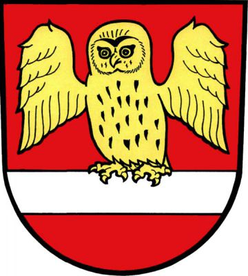 V červeném štítě zlatá rozkřídlená sova na sníženém stříbrném břevně. Znak Huzová