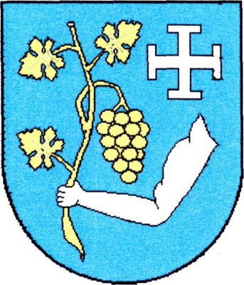 V modrém štítě stříbrné rámě držící zlatou vinnou ratolest s jedním hroznem a třemi listy, provázené vlevo nahoře stříbrným berličkovým křížem. Znak Hýsly