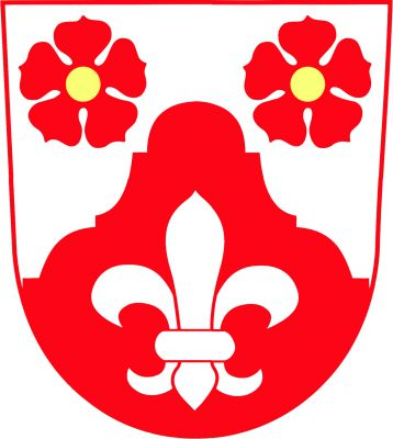Ve stříbrném štítě vyrůstající červená silueta štítu barokního selského stavení, v něm stříbrná lilie. V horních rozích dvě červené růže se zlatými semeníky. Znak Jankov