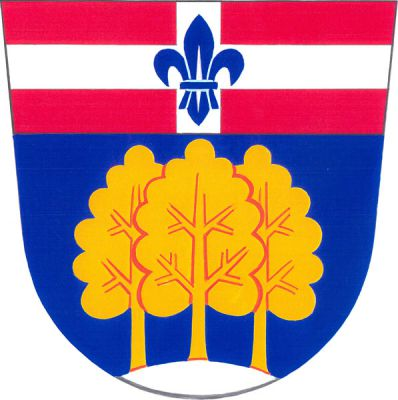 Červeno-modře zvýšeně dělený štít, nahoře stříbrný heroldský kříž s modrou lilií uprostřed, dole ze stříbrného návrší vyrůstají tři zlaté listnaté stromy. Znak Jankovice