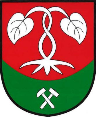 Červený štít se zelenou vydutou patou. Ve štítě dvě propletená stříbrná vykořeněná lekna, v patě stříbrná hornická kladívka. Znak Jemníky