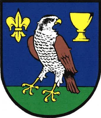 V modrém štítě na zeleném trávníku ohlížející se jestřáb přirozené barvy, provázený nahoře vpravo lilií a vlevo kalichem, obojí zlaté. Znak Jestřabí Lhota