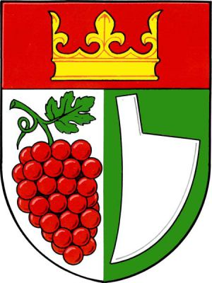 Ve stříbrno-zeleně polceném štítě pod červenou hlavou se zlatou korunou vpravo červený vinný hrozen na zeleném stonku s jedním listem, vlevo doleva obrácená stříbrná radlice. Znak Josefov