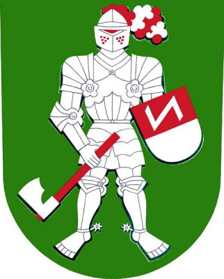 V zeleném štítě stříbrný, čelně stojící rytíř s červeno-stříbrným chocholem na zavřené přilbě, v pravé ruce držící svěšenou stříbrnou sekeru s červenou násadou ostřím vzhůru, na levé ruce má červeno-stříbrně dělený štít se stříbrným svěrčkem v horní půli. Znak Kladeruby