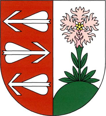 V červeno-stříbrně polceném štítě vpravo tři položené stříbrné šípy, prostřední doleva, vlevo na zeleném návrší hvozdík písečný český přirozené barvy. Znak Kleneč
